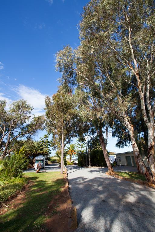 Modra'S Apartments Tumby Bay Kültér fotó